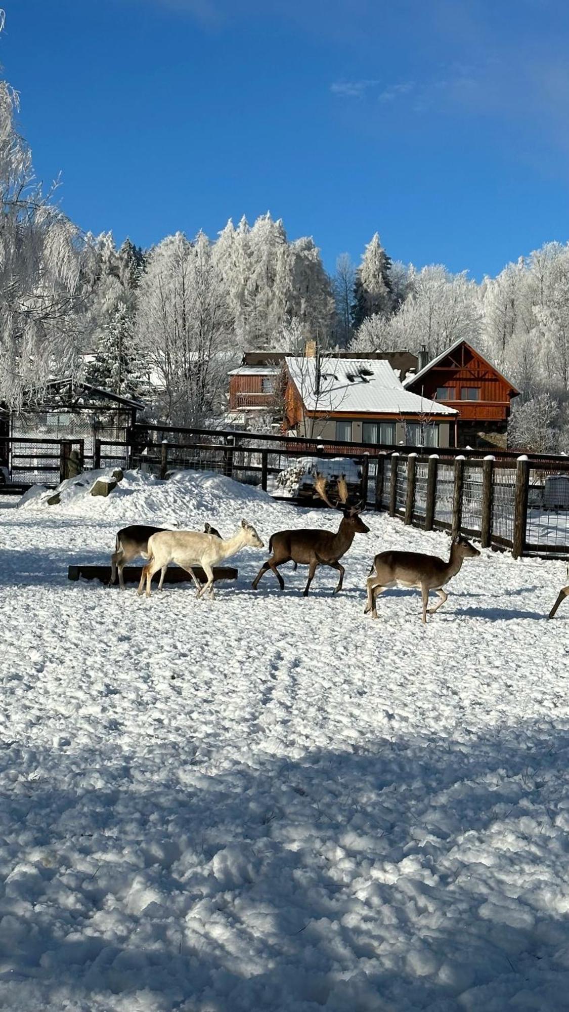 Hotel Farma Frantisek Stachy Zewnętrze zdjęcie