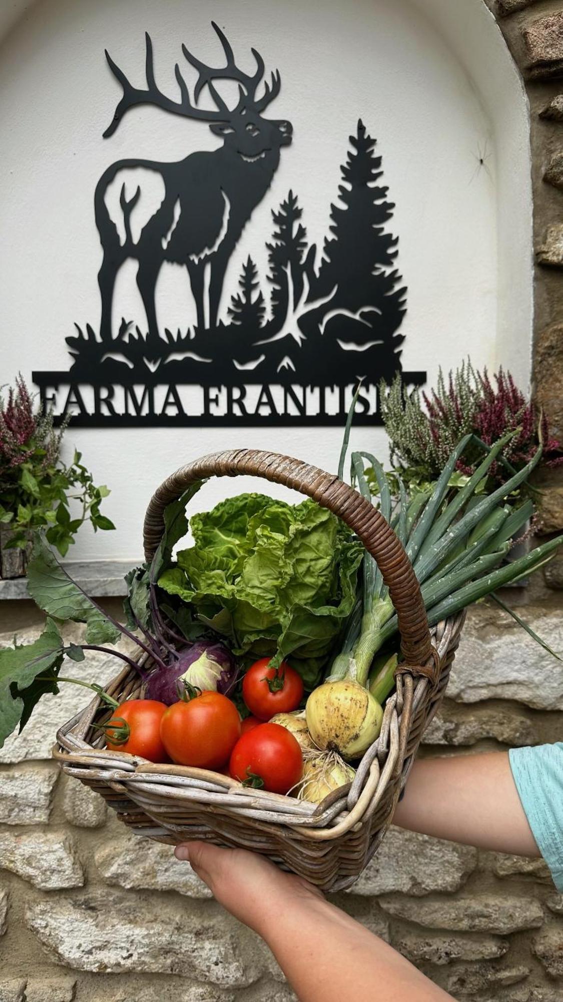 Hotel Farma Frantisek Stachy Zewnętrze zdjęcie
